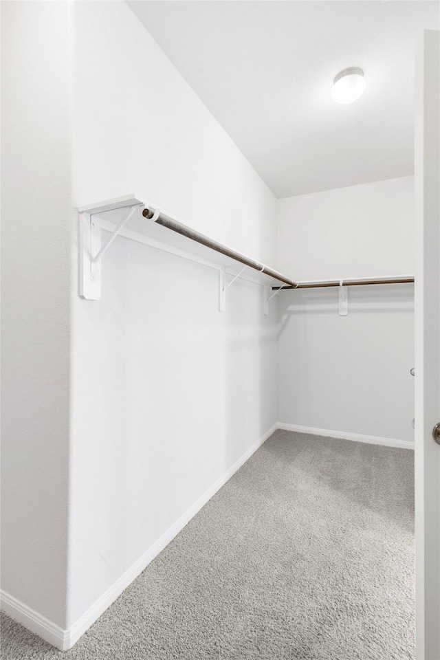 spacious closet with carpet flooring