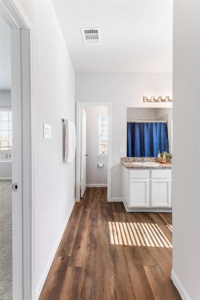 bathroom featuring hardwood / wood-style floors, vanity, and a wealth of natural light