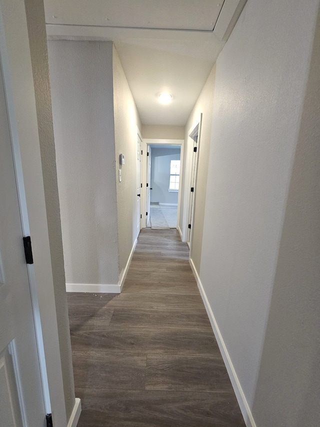 corridor featuring dark hardwood / wood-style floors