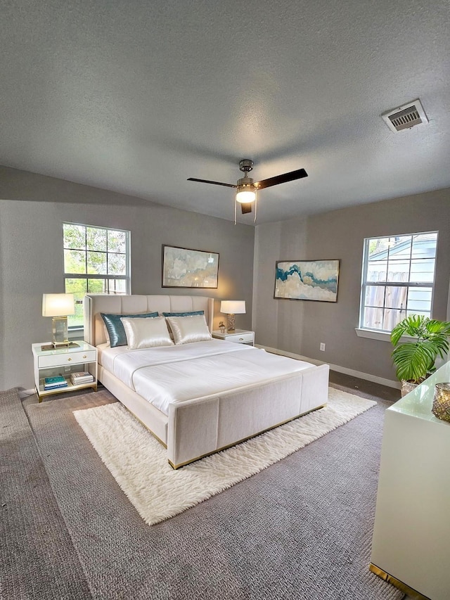 bedroom featuring multiple windows, ceiling fan, carpet floors, and a textured ceiling