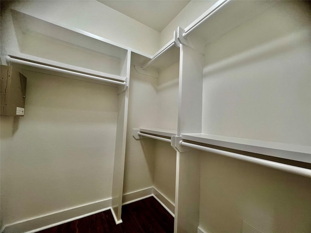 spacious closet featuring dark wood-type flooring