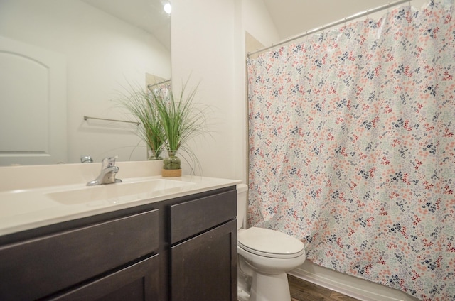 bathroom featuring hardwood / wood-style flooring, vanity, and toilet