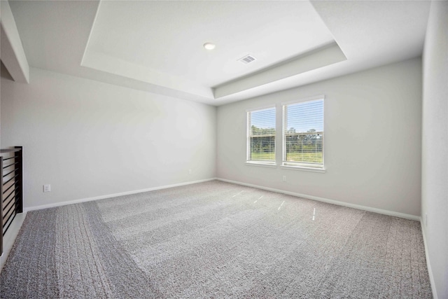 carpeted spare room featuring a raised ceiling