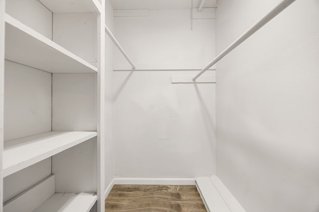 walk in closet with hardwood / wood-style flooring