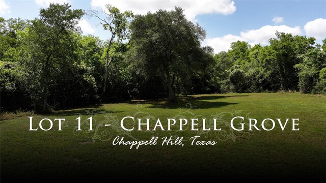 TBD Chappel Grove Ln, Chappell Hill, TX 77426
