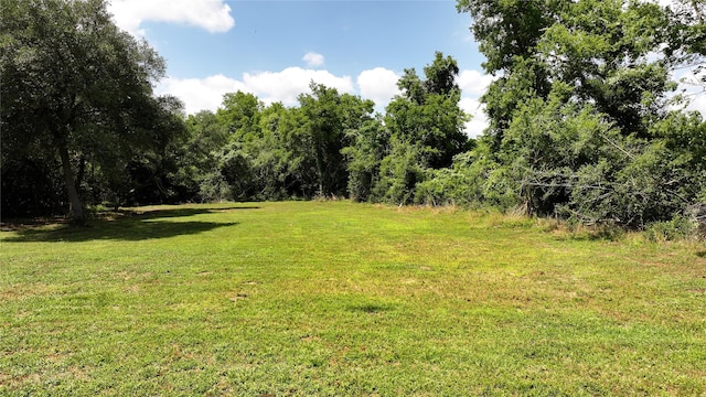 TBD Chappel Grove Ln, Chappell Hill, TX 77426