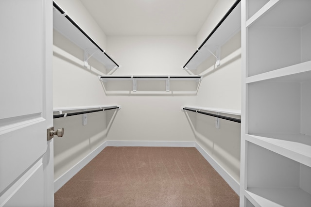 spacious closet with light colored carpet