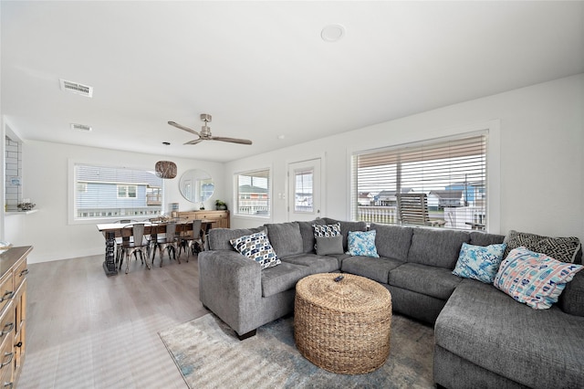 living room featuring ceiling fan and wood-type flooring