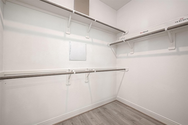 walk in closet featuring light hardwood / wood-style floors