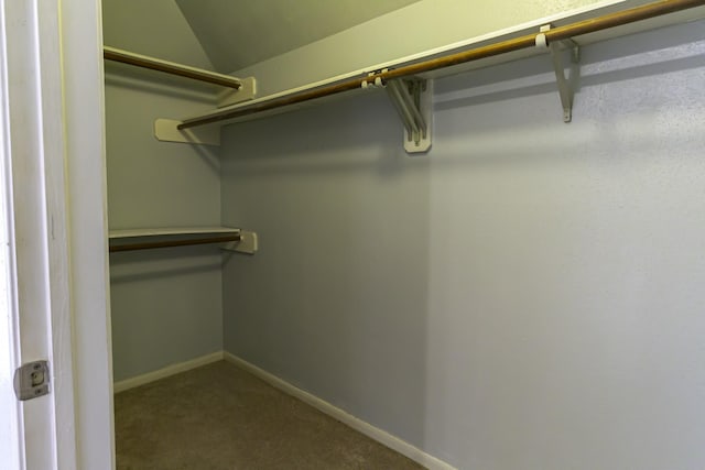 spacious closet featuring carpet flooring and vaulted ceiling