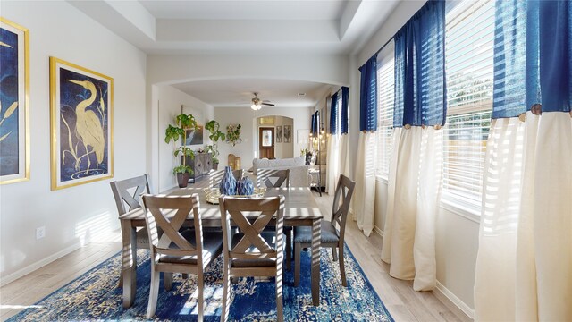 dining space featuring a raised ceiling, ceiling fan, and light wood-type flooring