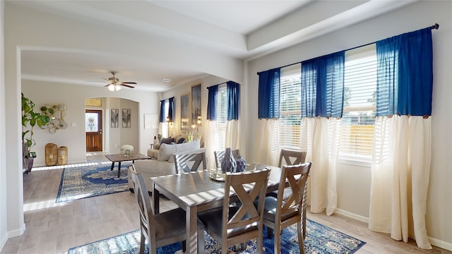 dining area featuring ceiling fan and hardwood / wood-style floors