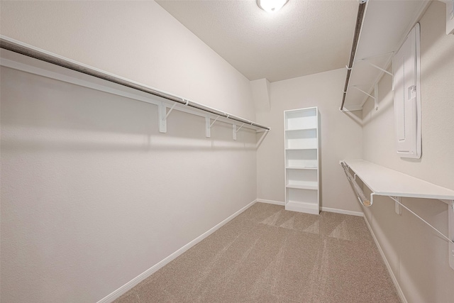 walk in closet featuring carpet flooring