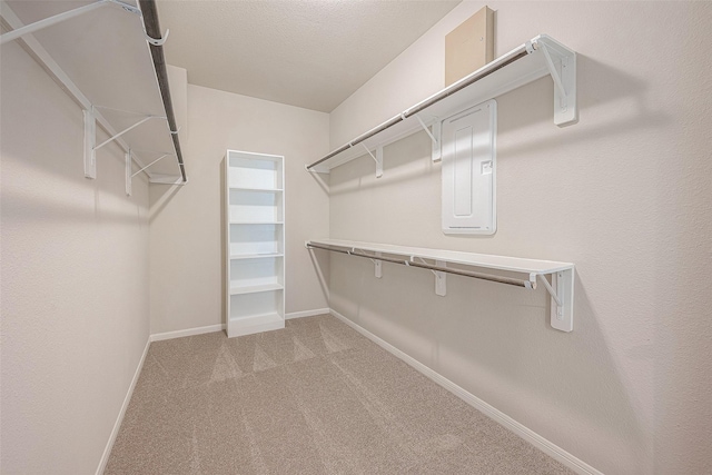 spacious closet with light carpet