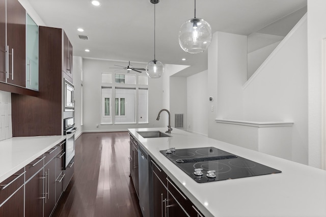 kitchen with sink, dark hardwood / wood-style floors, ceiling fan, decorative light fixtures, and stainless steel appliances