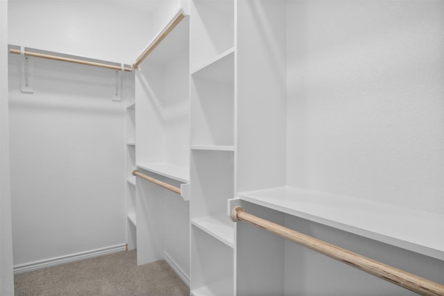 spacious closet featuring light colored carpet