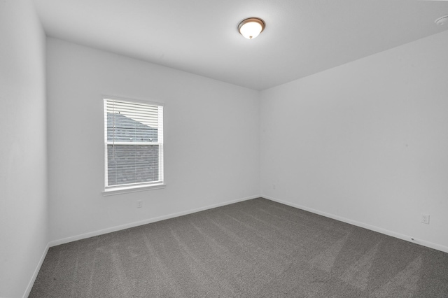 spare room featuring carpet