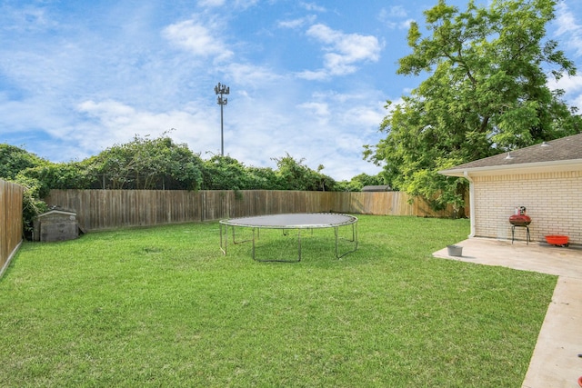 view of yard featuring a patio and a trampoline