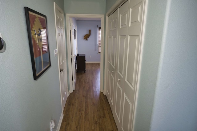 hallway with dark wood-type flooring