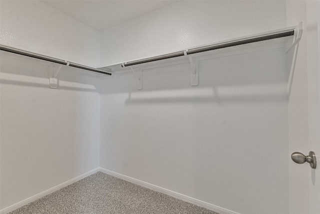 spacious closet featuring carpet flooring