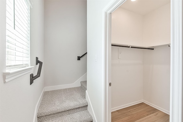 staircase with hardwood / wood-style flooring