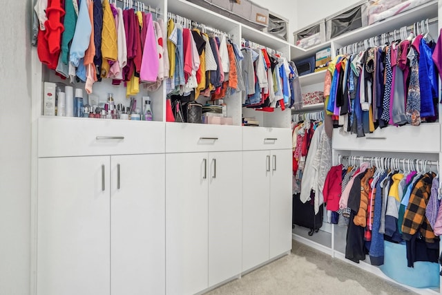 spacious closet with light colored carpet