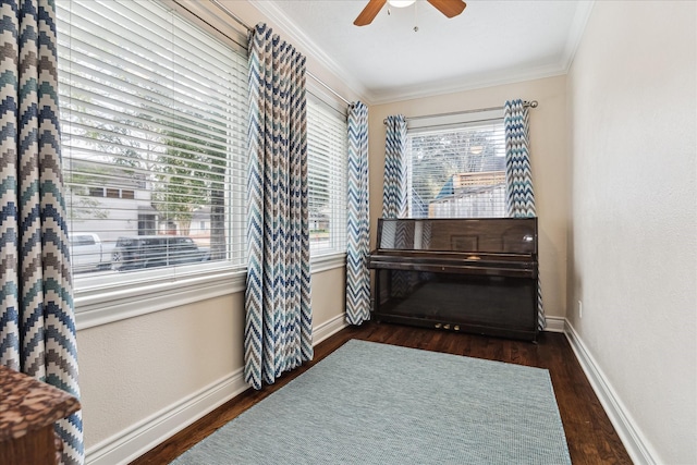 miscellaneous room with dark hardwood / wood-style flooring, a healthy amount of sunlight, and ornamental molding