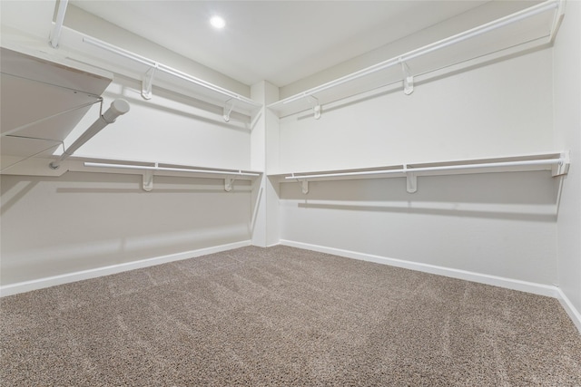 walk in closet featuring carpet flooring