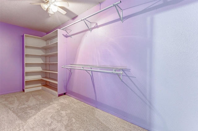 walk in closet featuring ceiling fan and light colored carpet