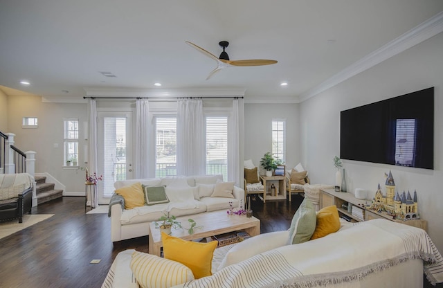 living room with dark hardwood / wood-style flooring, ceiling fan, and ornamental molding