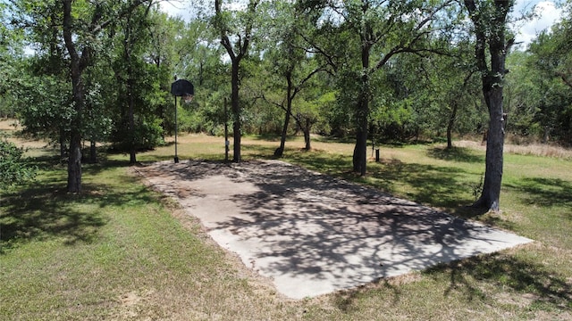 view of community with a lawn