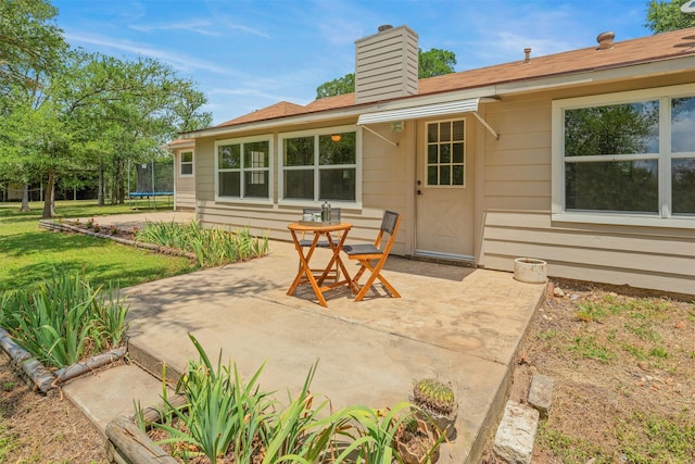 back of property with a patio area and a trampoline