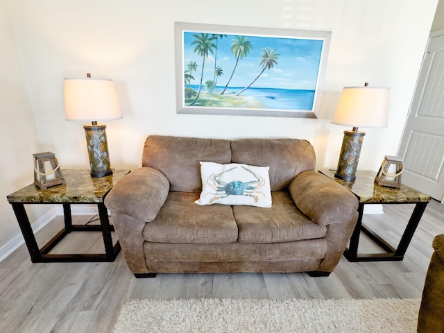 living room with light hardwood / wood-style floors