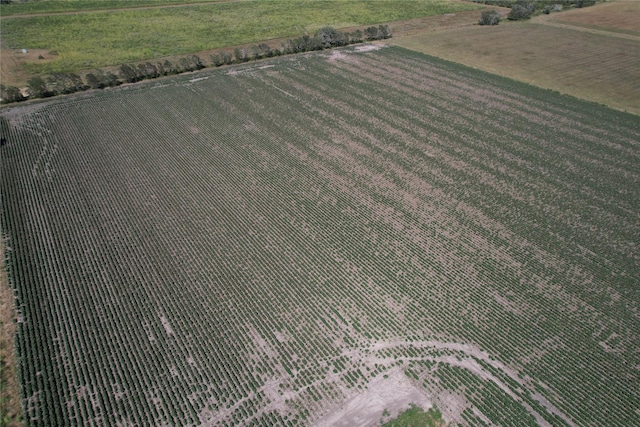 TRACT2 Fm 530, Hallettsville, TX 77964 - photo 9