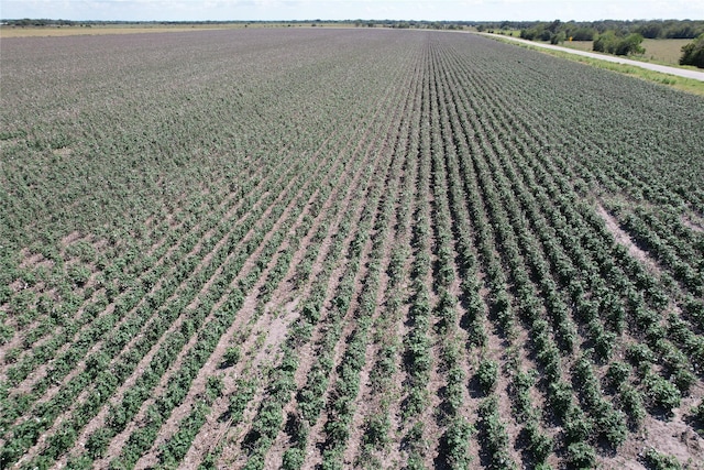 TRACT2 Fm 530, Hallettsville, TX 77964 - photo 2