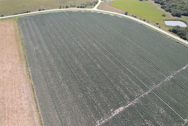TRACT2 Fm 530, Hallettsville, TX 77964 - photo 13