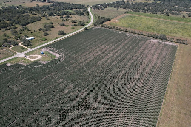 TRACT2 Fm 530, Hallettsville, TX 77964 - photo 14