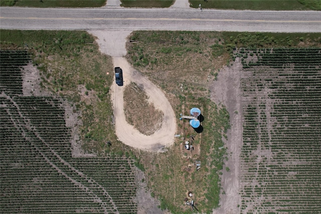 TRACT2 Fm 530, Hallettsville, TX 77964 - photo 17