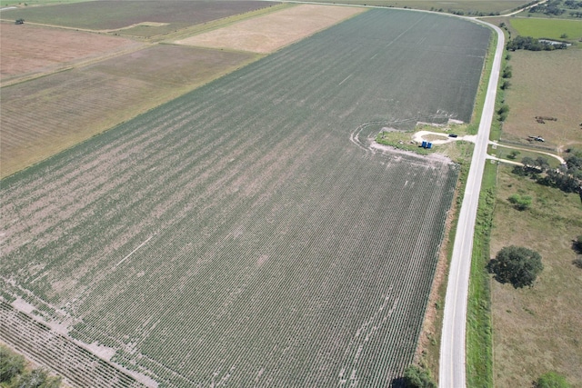 TRACT2 Fm 530, Hallettsville, TX 77964 - photo 19