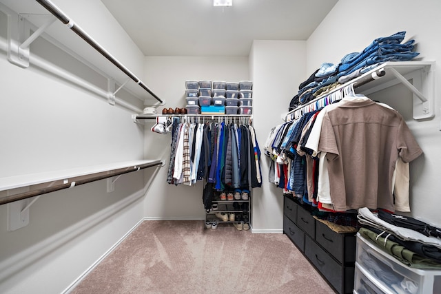 spacious closet featuring carpet