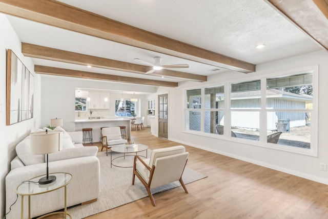 living room featuring beamed ceiling, a healthy amount of sunlight, and light hardwood / wood-style flooring