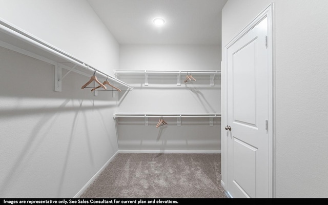 walk in closet with carpet