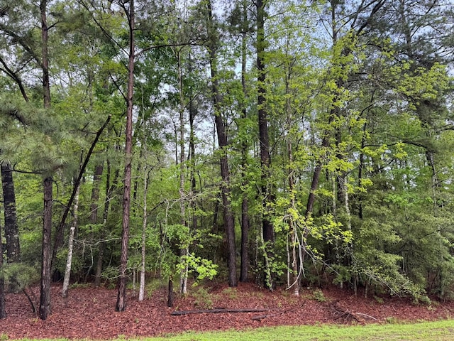 10 Wentworth Ln, Coldspring TX, 77331 land for sale