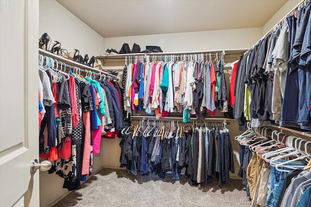 spacious closet with carpet