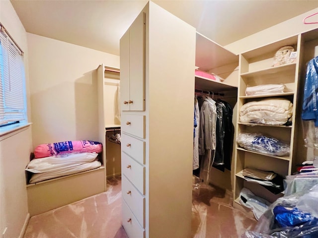 walk in closet featuring light carpet