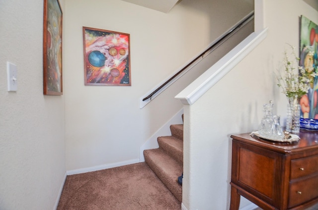 stairs featuring carpet flooring