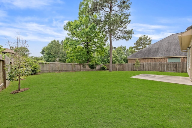 view of yard featuring a patio