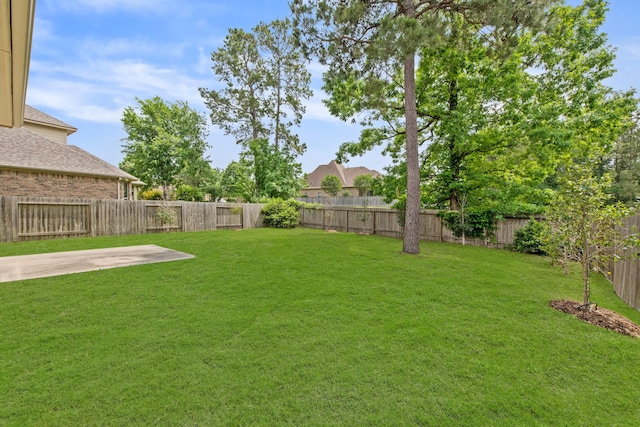 view of yard featuring a patio