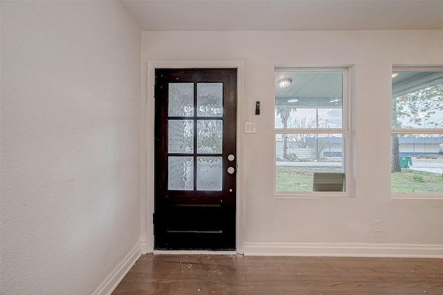 doorway to outside featuring dark hardwood / wood-style floors and a wealth of natural light