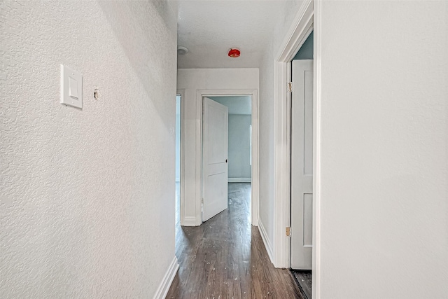 corridor featuring dark hardwood / wood-style flooring